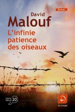 L'infinie patience des oiseaux : roman ([Éd.] en gros caractères) David Malouf ; traduit de l'anglais (Australie) par Nadine Gassie
