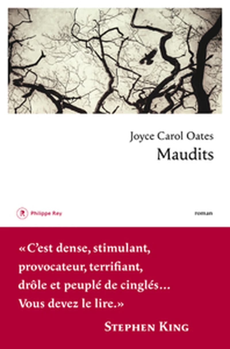 Maudits : roman