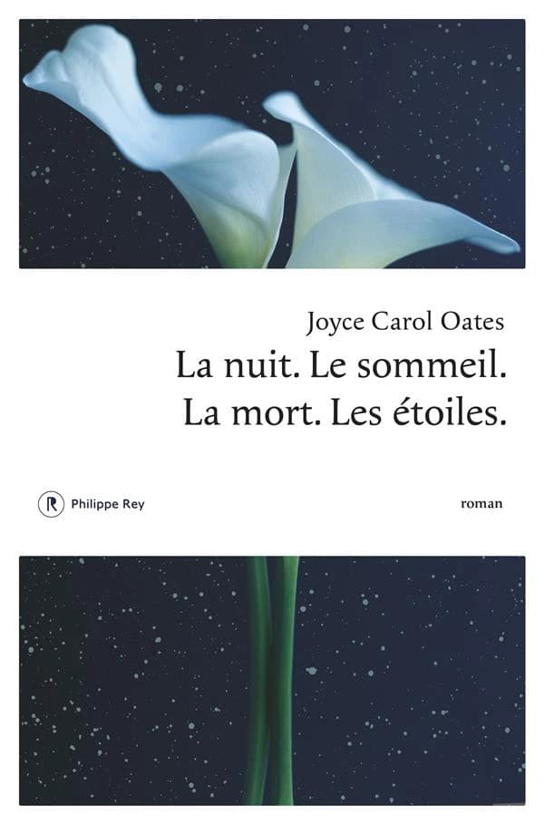 La nuit, le sommeil, la mort, les étoiles : roman