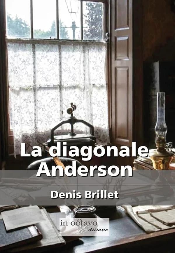 La diagonale Anderson : roman