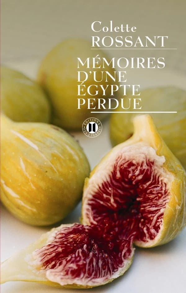 Mémoires d'une Égypte perdue : récit