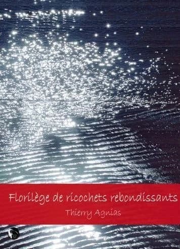 Florilège de ricochets rebondissants : poésie