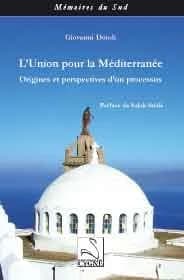 L'Union pour la Méditerranée : origines et perspectives d'un processus