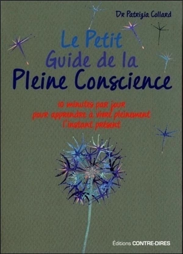 Le petit guide de la pleine conscience : quelques minutes par jour pour apprendre à vivre pleinement l'instant présent