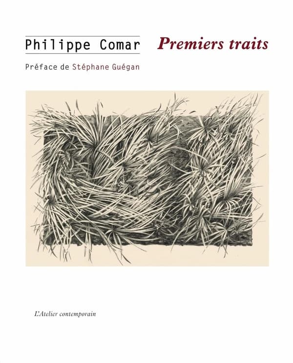 Premiers traits: mémoires d'un dessinateur