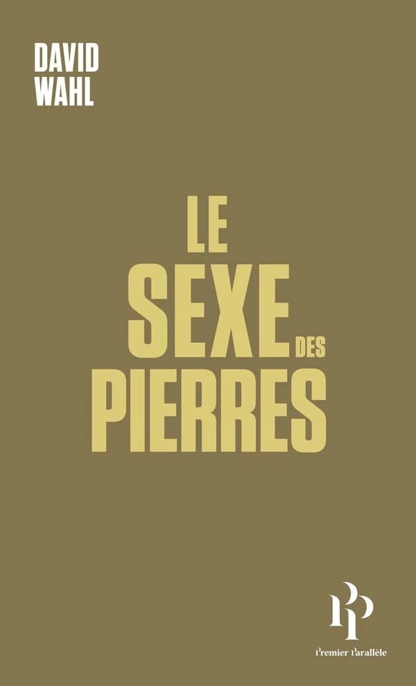 Le sexe des pierres ; suivi de Les hommes paysages