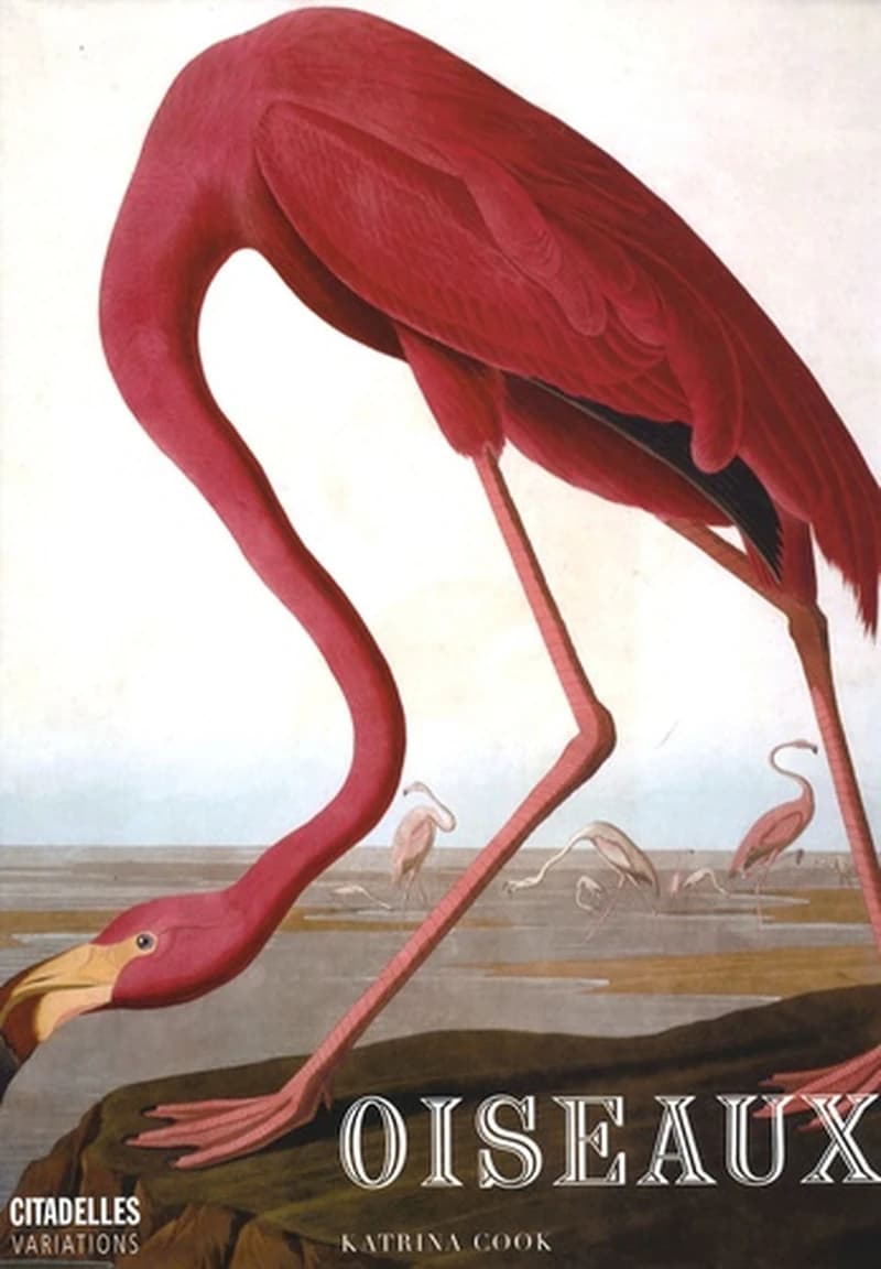 Oiseaux
