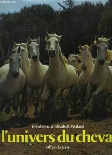 L'univers du cheval