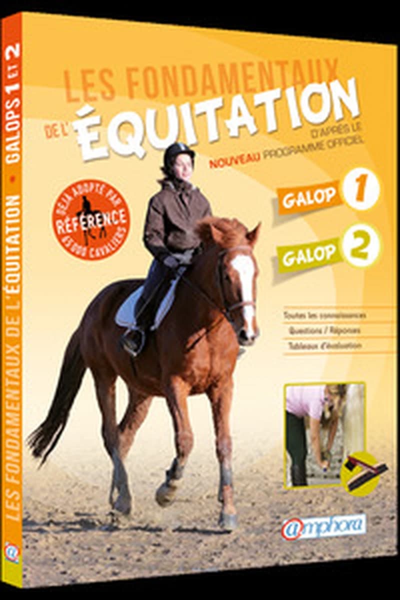 Les fondamentaux de l'équitation : d'après le nouveau programme officiel : galop 1, galop 2...