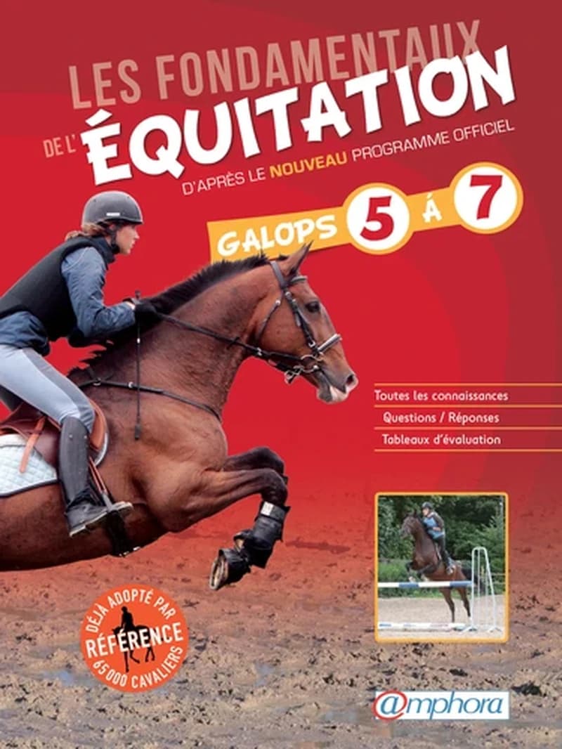 Les fondamentaux de l'équitation : galops 5 à 7 : d'après le nouveau programme officiel... (Éd. mise à jour) [Catherine Ancelet]