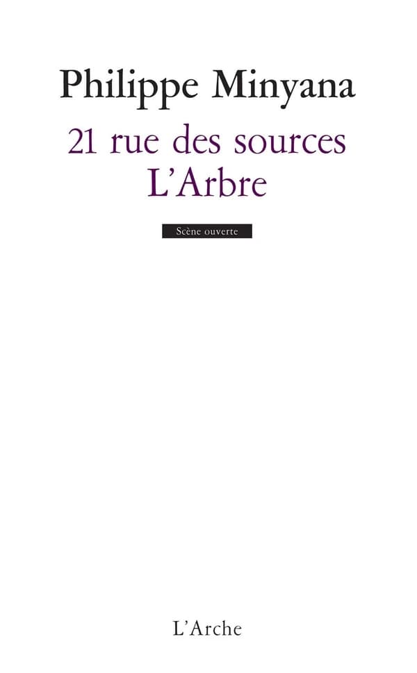 21 rue des Sources ; L'arbre