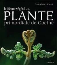 La plante primordiale de Goethe et le règne végétal : des lichens aux plantes supérieures