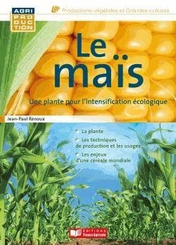 Le maïs : une plante pour l'intensification écologique