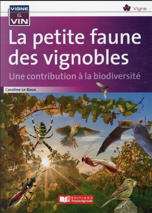 La petite faune des vignobles, une contribution à la biodiversité