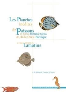 Les planches inédites de poissons et autres animaux marins de l'Indo-Ouest Pacifique d'Isaac Johannes Lamotius