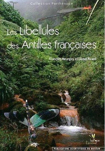Les libellules des Antilles françaises : écologie, biologie, biogéographie et identification