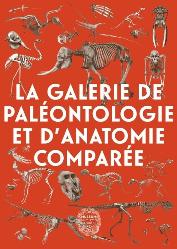 Galerie de paléontologie et d'anatomie comparée