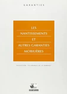 Les nantissements et autres garanties mobilières