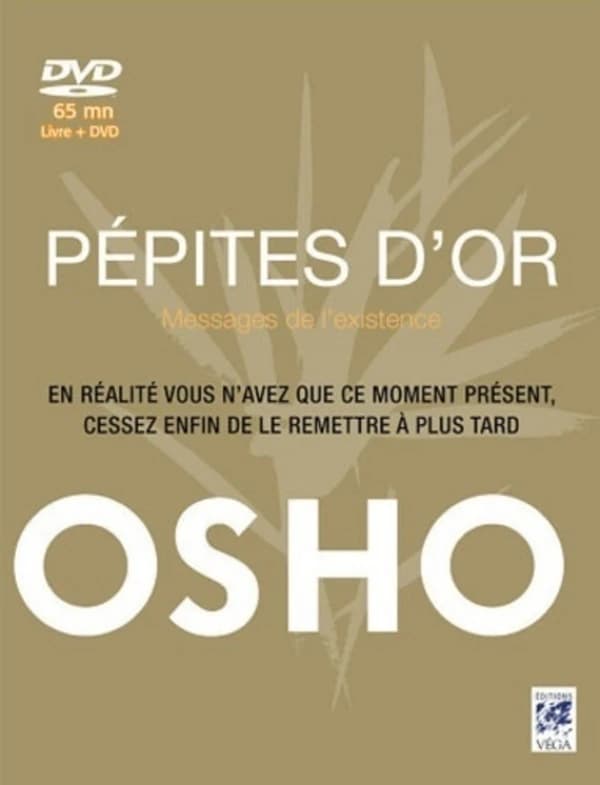 Pépites d'or : messages de l'existence