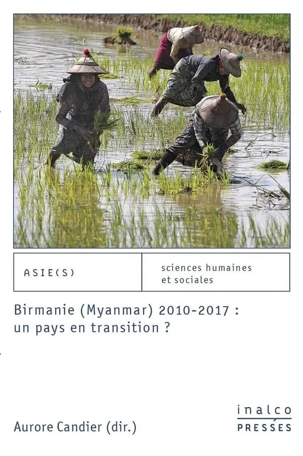 Birmanie, Myanmar, 2010-2017, un pays en transition ?