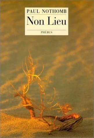 Non lieu : récit