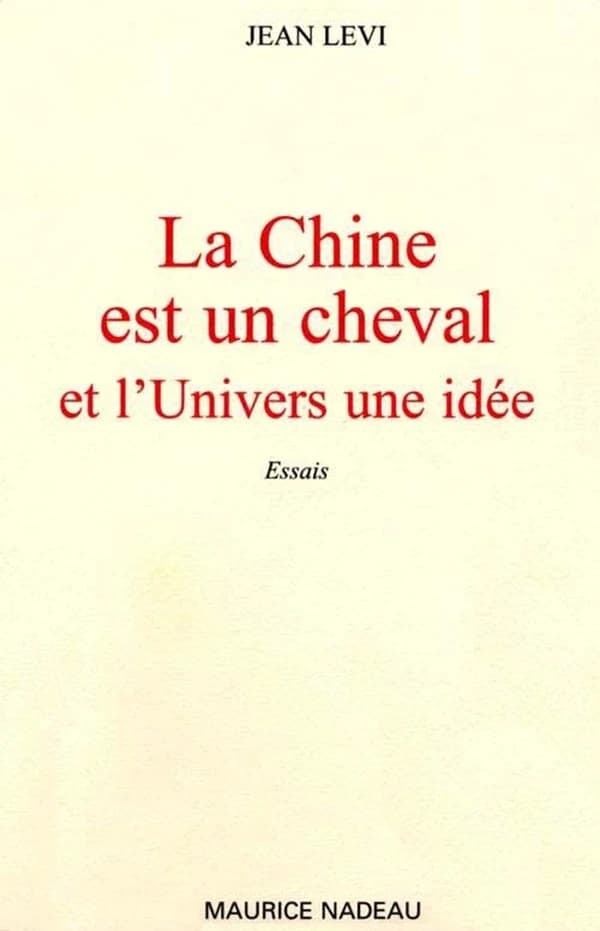 Un chapeau dans la neige : roman
