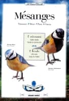 Mésanges : Livre-maquette à découper
