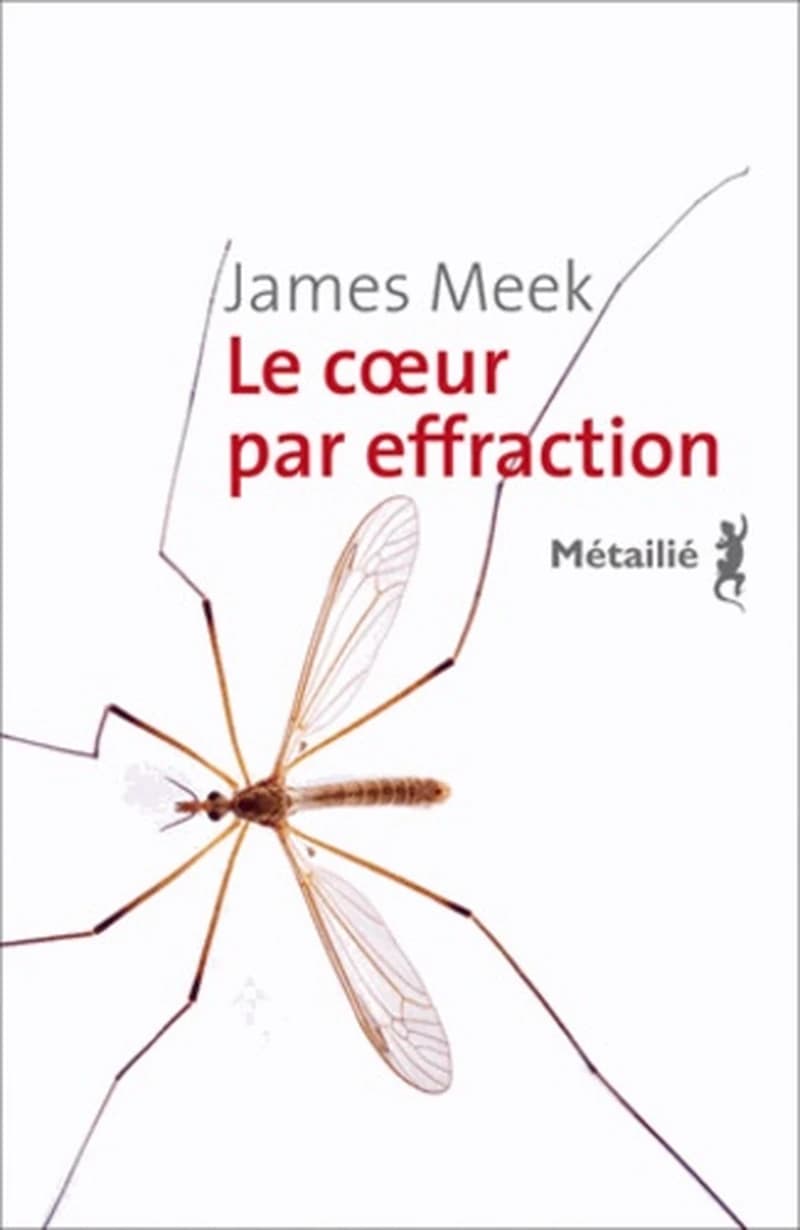 Le coeur par effraction