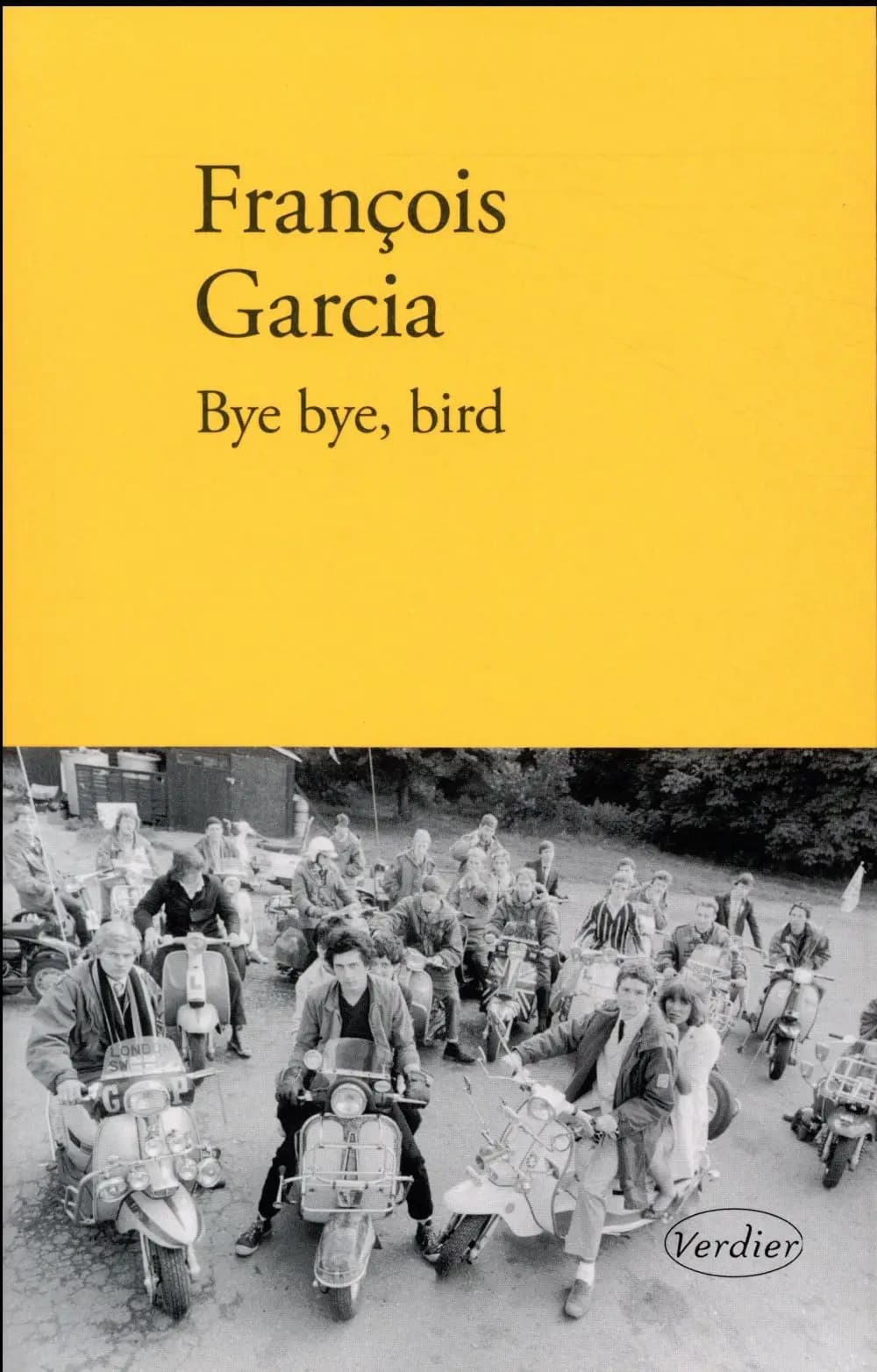 Bye bye, bird : roman