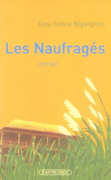 Les naufragés : roman