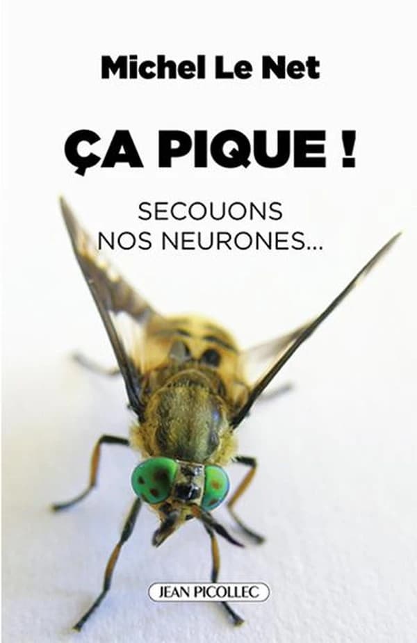 Ça pique ! : secouons nos neurones