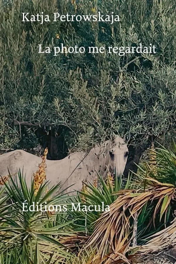 La photo me regardait : chroniques, 2015-2021