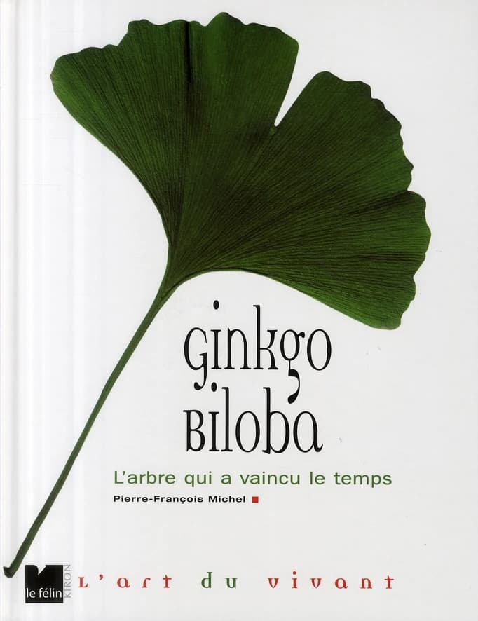 Ginkgo biloba : l'arbre qui a vaincu le temps