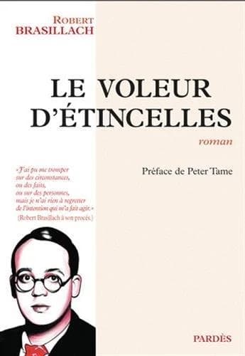Le voleur d'étincelles : roman