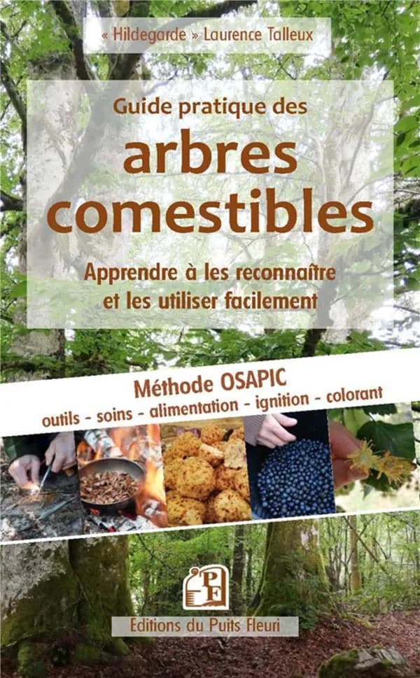Guide pratique des arbres comestibles : les reconnaître et les utiliser facilement