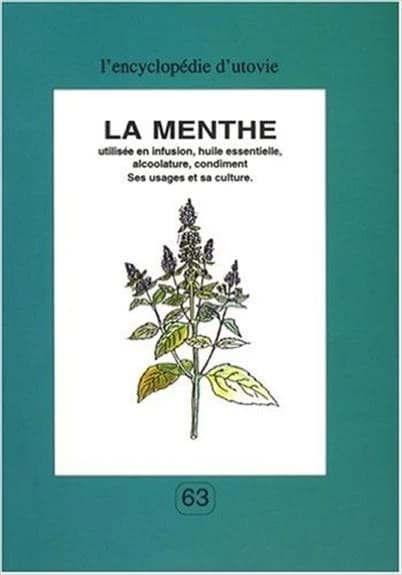 La menthe utilisée en infusion, huile essentielle, alcoolature, condiment : ses usages et sa culture