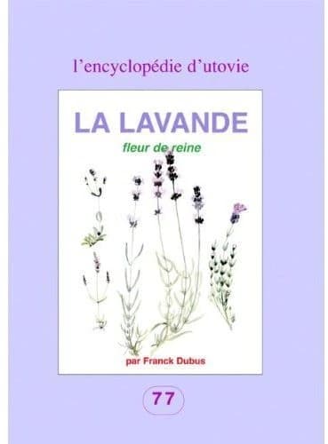 La lavande fleur de reine