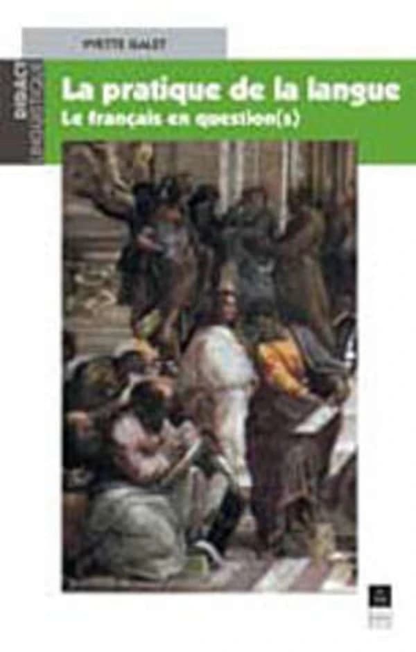 La pratique de la langue : le français en questions(s)