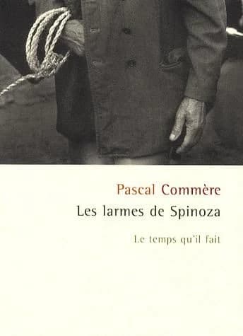 Les larmes de Spinoza : histoires