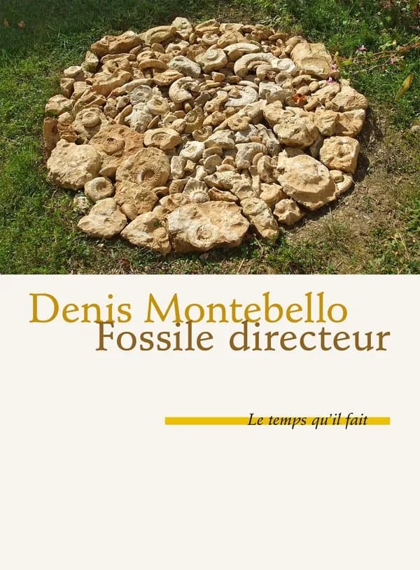 Fossile directeur : roman