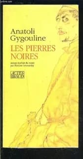 Les Pierres noires : roman