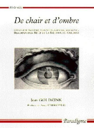De chair et d'ombre : essais sur Marivaux, Challe, Rousseau, Beaumarchais, Rétif et Goldoni