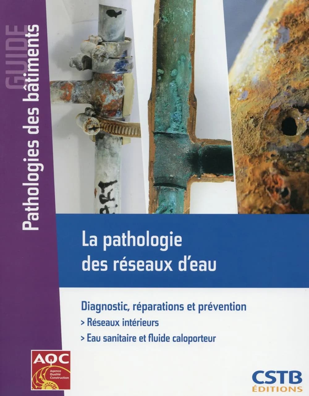 La pathologie des réseaux d'eau : diagnostic, réparation et prévention