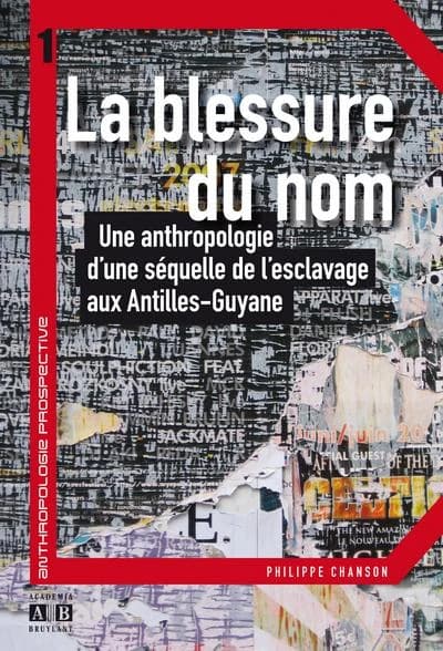 La blessure du nom : une anthropologie d'une séquelle de l'esclavage aux Antilles-Guyane