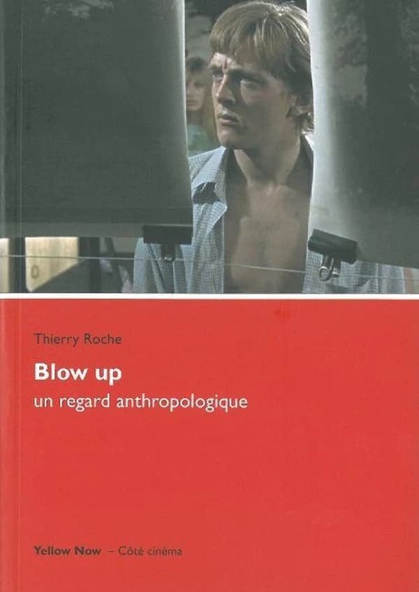 "Blow up" : un regard anthropologique : affleurer la surface du monde