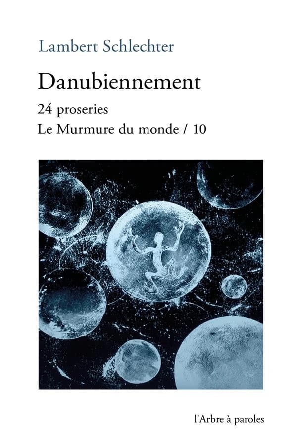 Danubiennement : 24 proseries