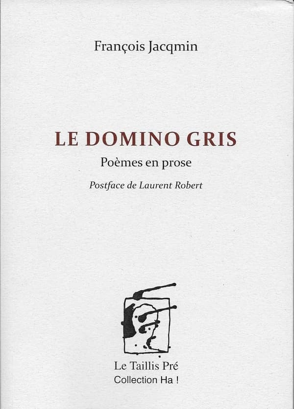 Le domino gris