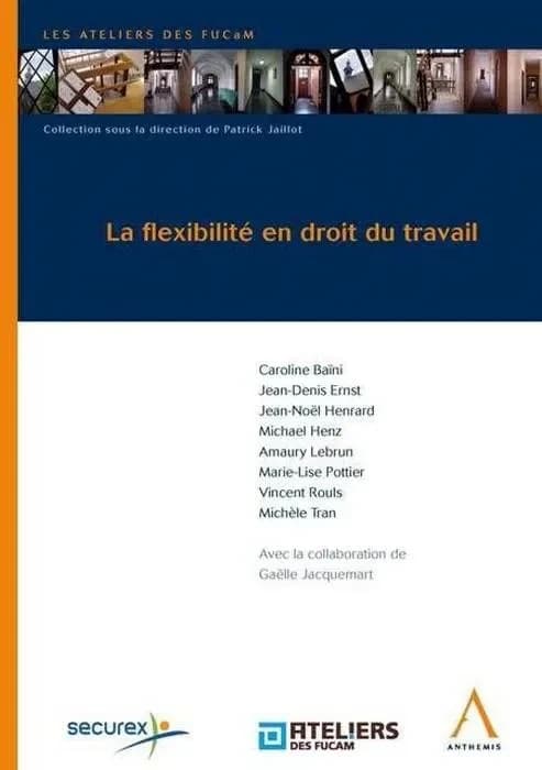 La flexibilite en droit du travail