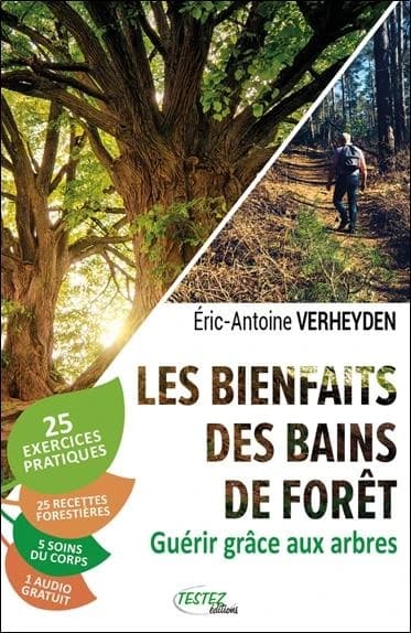 Les bienfaits des bains de forêt : guérir grâce aux arbres