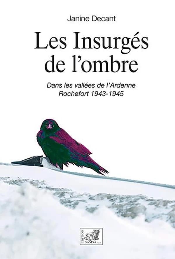 Les insurgés de l'ombre. Offensive des Ardennes 1943-1945